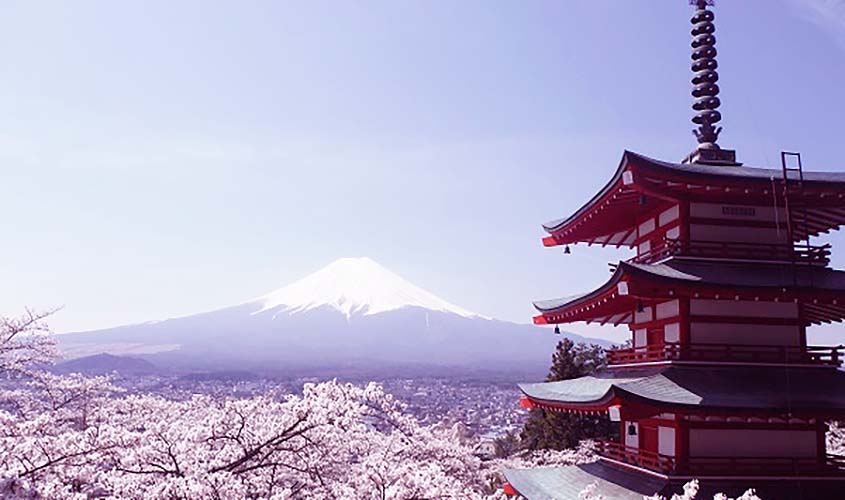 日本　国内　生地