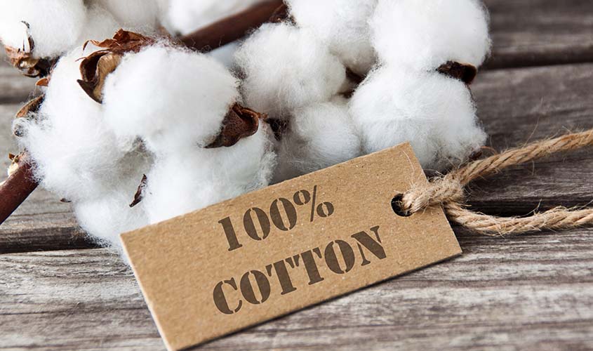 就活用のシャツにふさわしい綿100％
